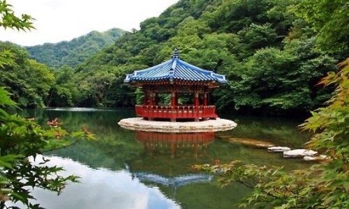 百香果的正确吃法和功效-百香果的营养及功效网 :分享百香果的药用价值与功效-百香果的正确吃法和功效知识